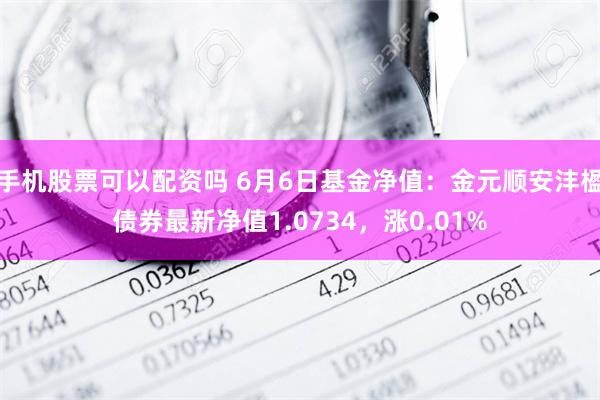 手机股票可以配资吗 6月6日基金净值：金元顺安沣楹债券最新净值1.0734，涨0.01%