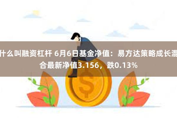 什么叫融资杠杆 6月6日基金净值：易方达策略成长混合最新净值3.156，跌0.13%