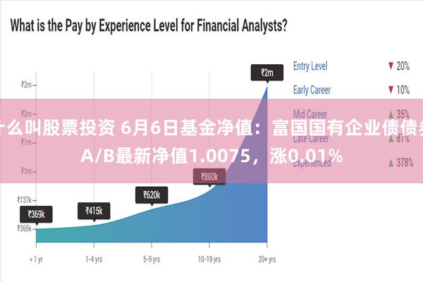 什么叫股票投资 6月6日基金净值：富国国有企业债债券A/B最新净值1.0075，涨0.01%