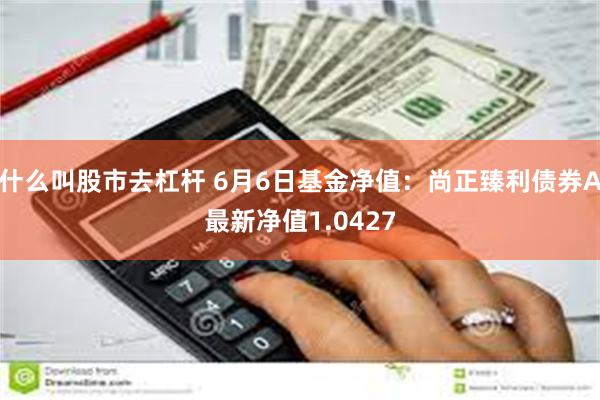 什么叫股市去杠杆 6月6日基金净值：尚正臻利债券A最新净值1.0427