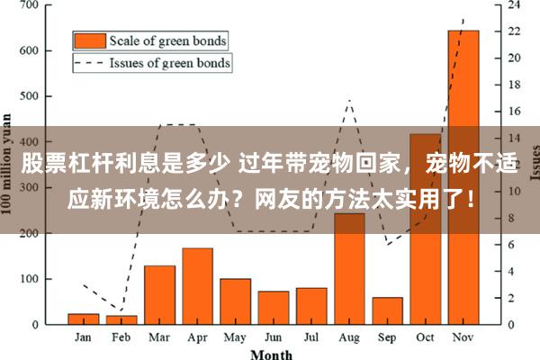 股票杠杆利息是多少 过年带宠物回家，宠物不适应新环境怎么办？网友的方法太实用了！