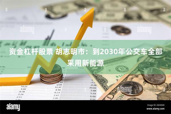 资金杠杆股票 胡志明市：到2030年公交车全部采用新能源