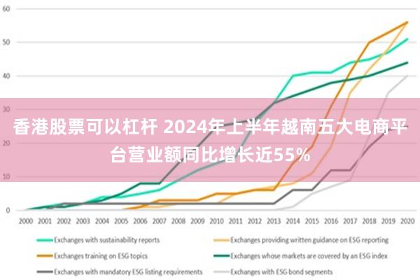 香港股票可以杠杆 2024年上半年越南五大电商平台营业额同比增长近55%