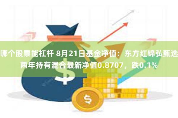 哪个股票能杠杆 8月21日基金净值：东方红锦弘甄选两年持有混合最新净值0.8707，跌0.1%