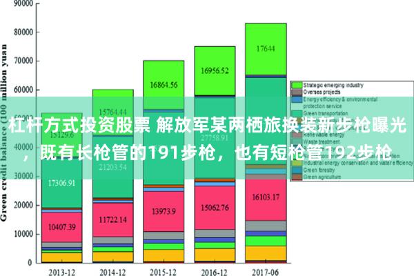 杠杆方式投资股票 解放军某两栖旅换装新步枪曝光，既有长枪管的191步枪，也有短枪管192步枪