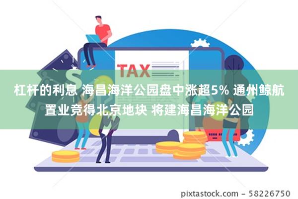 杠杆的利息 海昌海洋公园盘中涨超5% 通州鲸航置业竞得北京地块 将建海昌海洋公园