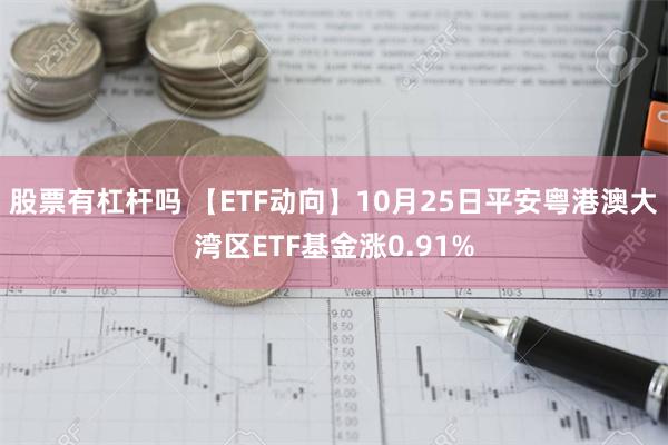 股票有杠杆吗 【ETF动向】10月25日平安粤港澳大湾区ETF基金涨0.91%