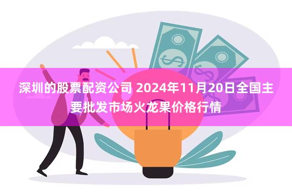 深圳的股票配资公司 2024年11月20日全国主要批发市场火龙果价格行情