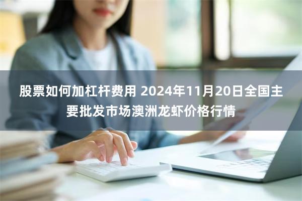 股票如何加杠杆费用 2024年11月20日全国主要批发市场澳洲龙虾价格行情