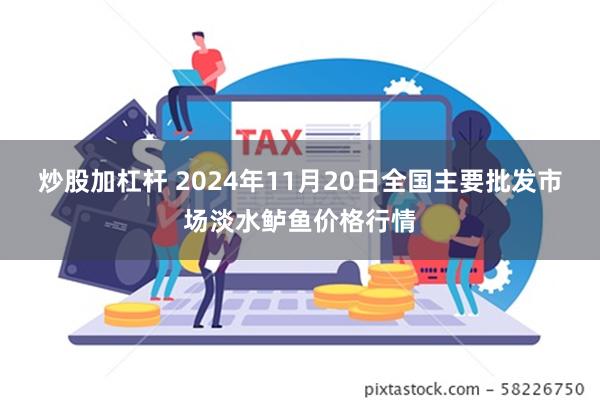 炒股加杠杆 2024年11月20日全国主要批发市场淡水鲈鱼价格行情