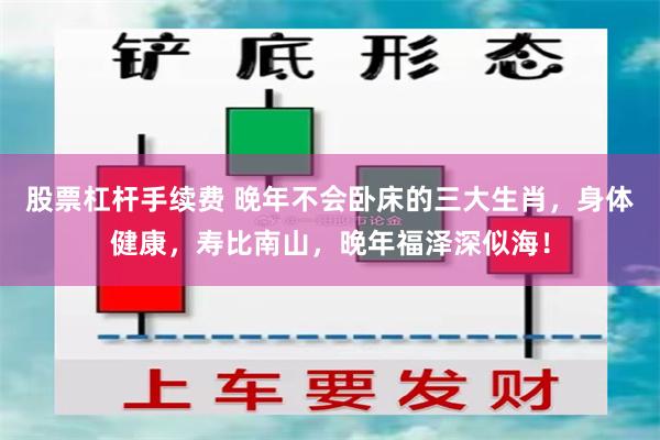 股票杠杆手续费 晚年不会卧床的三大生肖，身体健康，寿比南山，晚年福泽深似海！