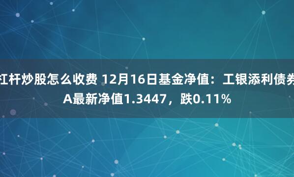 杠杆炒股怎么收费 12月16日基金净值：工银添利债券A最新净值1.3447，跌0.11%