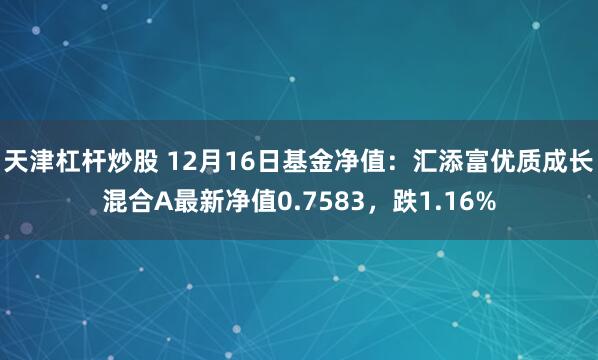 天津杠杆炒股 12月16日基金净值：汇添富优质成长混合A最新净值0.7583，跌1.16%