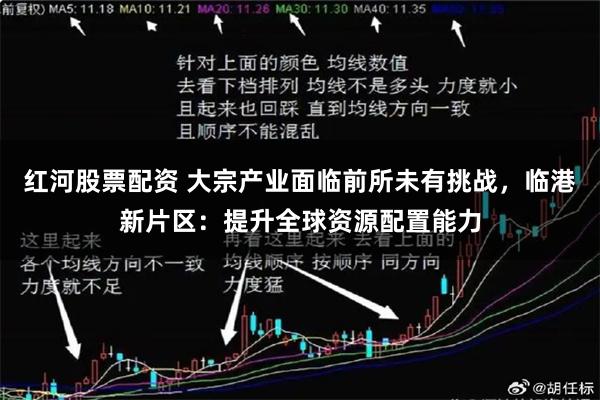 红河股票配资 大宗产业面临前所未有挑战，临港新片区：提升全球资源配置能力