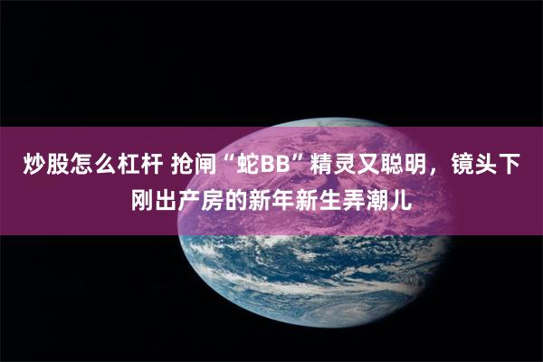 炒股怎么杠杆 抢闸“蛇BB”精灵又聪明，镜头下刚出产房的新年新生弄潮儿