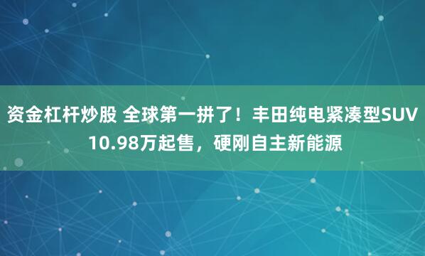 资金杠杆炒股 全球第一拼了！丰田纯电紧凑型SUV 10.98万起售，硬刚自主新能源