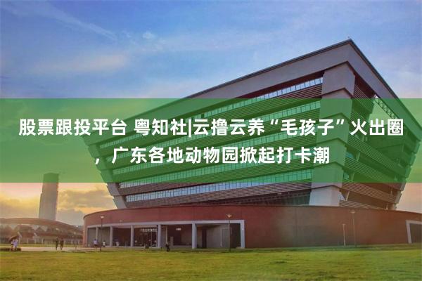 股票跟投平台 粤知社|云撸云养“毛孩子”火出圈，广东各地动物园掀起打卡潮